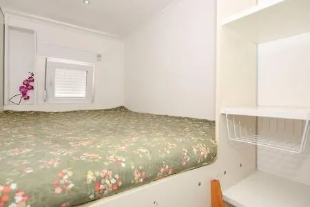 Diana Τρογκίρ