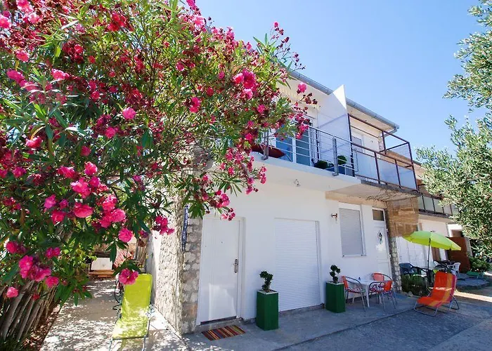 Diana Τρογκίρ